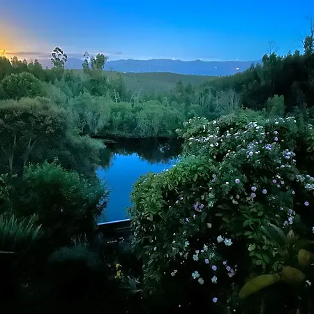 Quinta Do Pereiro Tábua