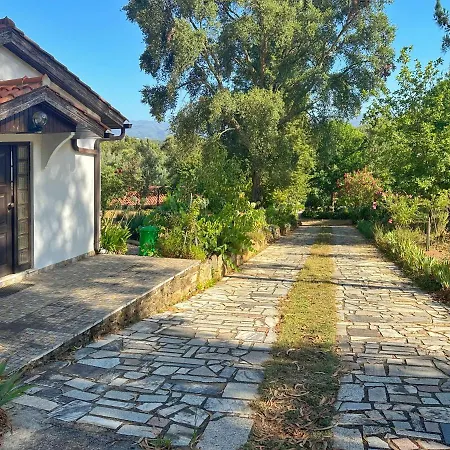 Quinta Do Pereiro * Tábua