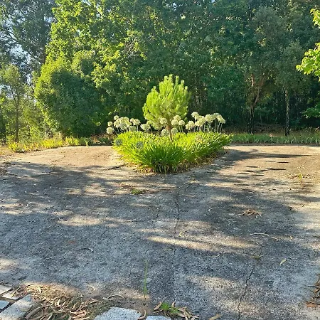Quinta Do Pereiro Casa de Férias Tábua