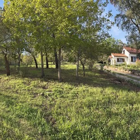 Quinta Do Pereiro 펜션 Tábua