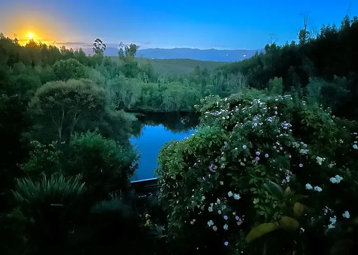 Quinta Do Pereiro Tábua