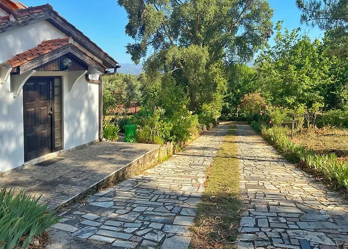 Quinta Do Pereiro * Tábua