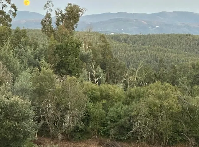 Tatil Evi Quinta Do Pereiro Tábua