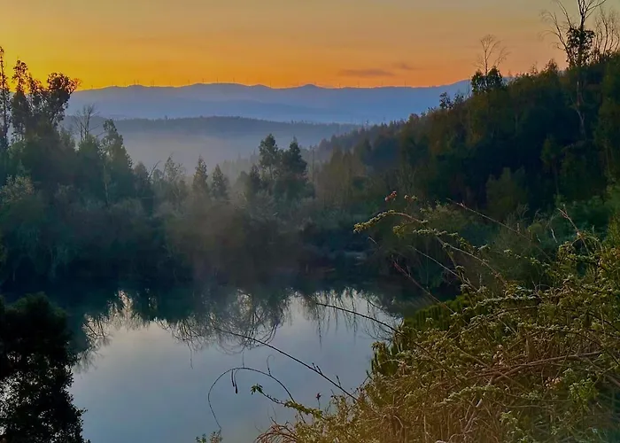 Feriehus Quinta Do Pereiro *