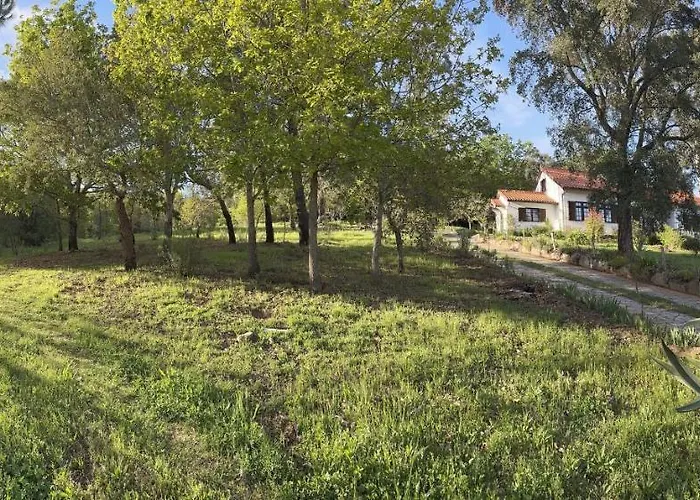 Quinta Do Pereiro Feriehus Tábua
