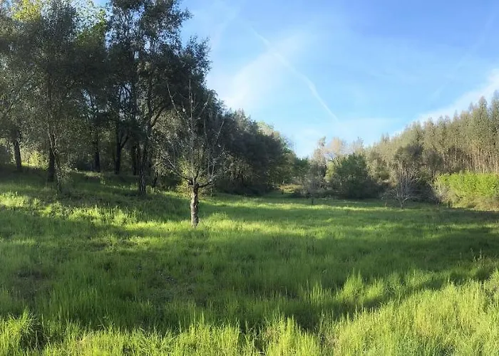 Quinta Do Pereiro *